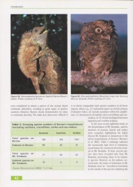 Preview: Taxonomy, Life History and Conservation of Giant Reptiles in West Kalimantan